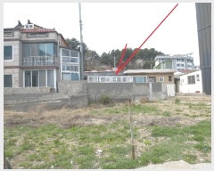  2025Ÿ��219  ���ð��