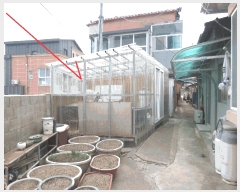  2025Ÿ��219  ���ð��