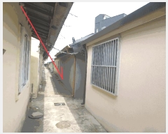  2025Ÿ��219  ���ð��