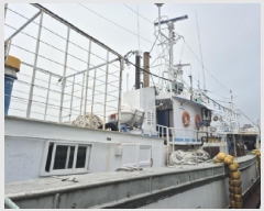  2025Ÿ��223  ���ڰ��