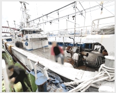  2025Ÿ��223  ���ڰ��