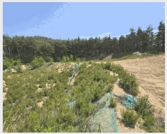  2025Ÿ225  籺 վ  94-2      (Ӿ)