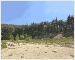  2025Ÿ225  籺 վ  94-2      (Ӿ)