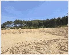  2025Ÿ225  籺 վ  94-2      (Ӿ)