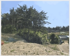  2025Ÿ225  籺 վ  94-2      (Ӿ)