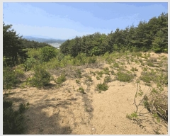  2025Ÿ225  籺 վ  94-2      (Ӿ)