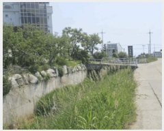  2025Ÿ��229  �����