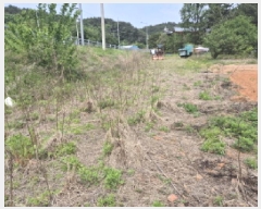  2025Ÿ��229  �����