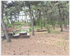  2025Ÿ��229  �����