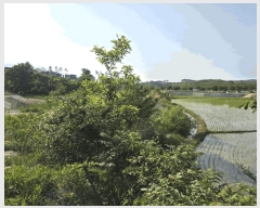  2025Ÿ��235 ���� ���ʽ� ��絿 355       ����(��)���