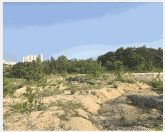  2025Ÿ��235 ���� ���ʽ� ��絿 355       ����(��)���