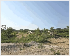  2025Ÿ��235 ���� ���ʽ� ��絿 355       ����(��)���