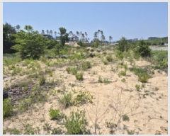  2025Ÿ��235 ���� ���ʽ� ��絿 355       ����(��)���