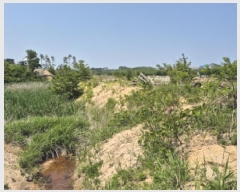  2025Ÿ��235 ���� ���ʽ� ��絿 355       ����(��)���