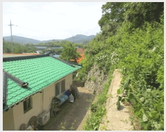  2025Ÿ��239 ���� ������ ������ ������ ��34-4      ����(�Ӿ�)���