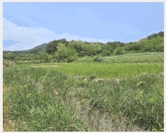  2025Ÿ��241  ����