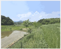  2025Ÿ��241  ����