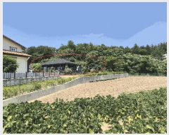  2025Ÿ��243 ���� ������ �伺�� ���븮 9-2      ���ð��