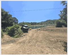  2025Ÿ��257 ���� ���ʽ� ���絿 379       ����(��1)���