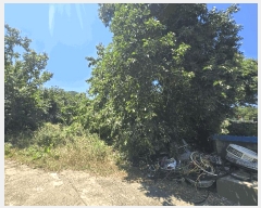  2025Ÿ��257 ���� ���ʽ� ���絿 379       ����(��1)���