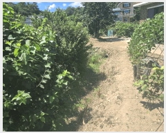  2025Ÿ��257 ���� ���ʽ� ���絿 379       ����(��1)���