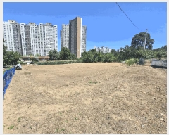  2025Ÿ��257 ���� ���ʽ� ���絿 379       ����(��1)���