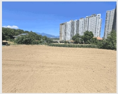  2025Ÿ��257 ���� ���ʽ� ���絿 379       ����(��1)���