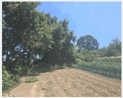  2025Ÿ��257 ���� ���ʽ� ���絿 379       ����(��1)���