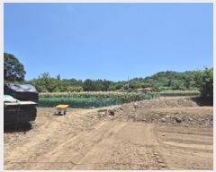  2025Ÿ��257 ���� ���ʽ� ���絿 379       ����(��1)���