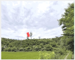  2025Ÿ��259 ���� ���ʽ� ��絿 ��281       ����(�Ӿ�)���