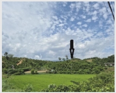  2025Ÿ��259 ���� ���ʽ� ��絿 ��281       ����(�Ӿ�)���