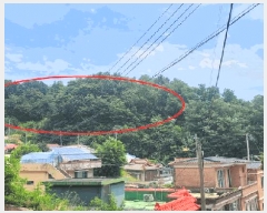  2025Ÿ��263 ���� ������ ������ ������ 175-1      ����(�Ӿ�)���