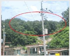  2025Ÿ��263 ���� ������ ������ ������ 175-1      ����(�Ӿ�)���