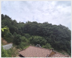  2025Ÿ��263 ���� ������ ������ ������ 175-1      ����(�Ӿ�)���