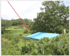  2025Ÿ��271 ���� ������ �伺�� ���ϸ� 388      ����(��)���