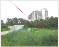  2025Ÿ��271 ���� ������ �伺�� ���ϸ� 388      ����(��)���