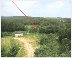  2025Ÿ��271 ���� ������ �伺�� ���ϸ� 388      ����(��)���