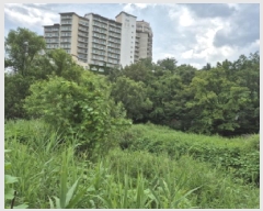  2025Ÿ��271 ���� ������ �伺�� ���ϸ� 388      ����(��)���