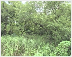  2025Ÿ��271 ���� ������ �伺�� ���ϸ� 388      ����(��)���