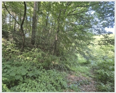  2025Ÿ��277 ���� ������ ������ ȭ���� ��147-1      ����(�Ӿ�)���