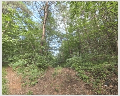  2025Ÿ��277 ���� ������ ������ ȭ���� ��147-1      ����(�Ӿ�)���