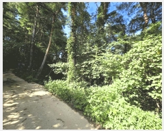  2025Ÿ��277 ���� ������ ������ ȭ���� ��147-1      ����(�Ӿ�)���