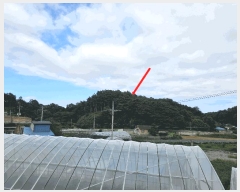  2025Ÿ��277 ���� ������ ������ ȭ���� ��147-1      ����(�Ӿ�)���