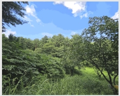  2025Ÿ��277 ���� ������ ������ ȭ���� ��147-1      ����(�Ӿ�)���