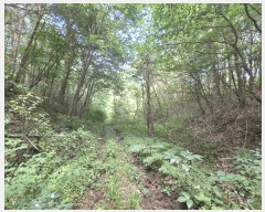  2025Ÿ��277 ���� ������ ������ ȭ���� ��147-1      ����(�Ӿ�)���