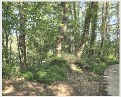  2025Ÿ��277 ���� ������ ������ ȭ���� ��147-1      ����(�Ӿ�)���