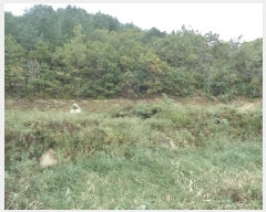  2025Ÿ��289 ���� ������ �׿ո� ���̸� ��98      ����(�Ӿ�)���