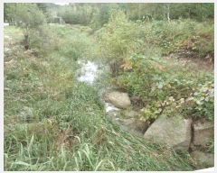  2025Ÿ��289 ���� ������ �׿ո� ���̸� ��98      ����(�Ӿ�)���