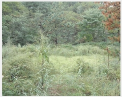  2025Ÿ��289 ���� ������ �׿ո� ���̸� ��98      ����(�Ӿ�)���