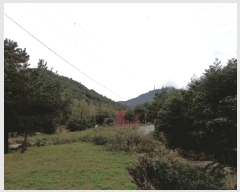  2025Ÿ��289 ���� ������ �׿ո� ���̸� ��98      ����(�Ӿ�)���